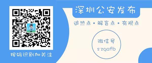 一肖一码一一肖一子深圳-全面释义、解释与落实