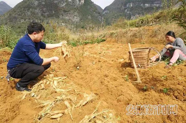 安顺人才网站安顺人才网站——连接人才与机遇的桥梁